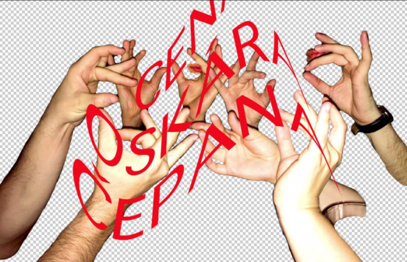 Who is Oskar Cepan Award